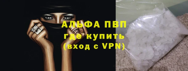 гашик Инсар