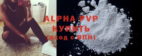 гашик Инсар