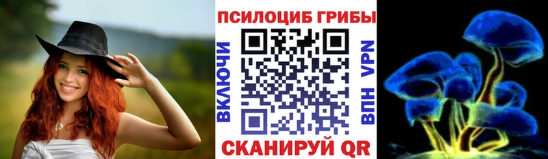 закладки  Рубцовск  Галлюциногенные грибы мухоморы 